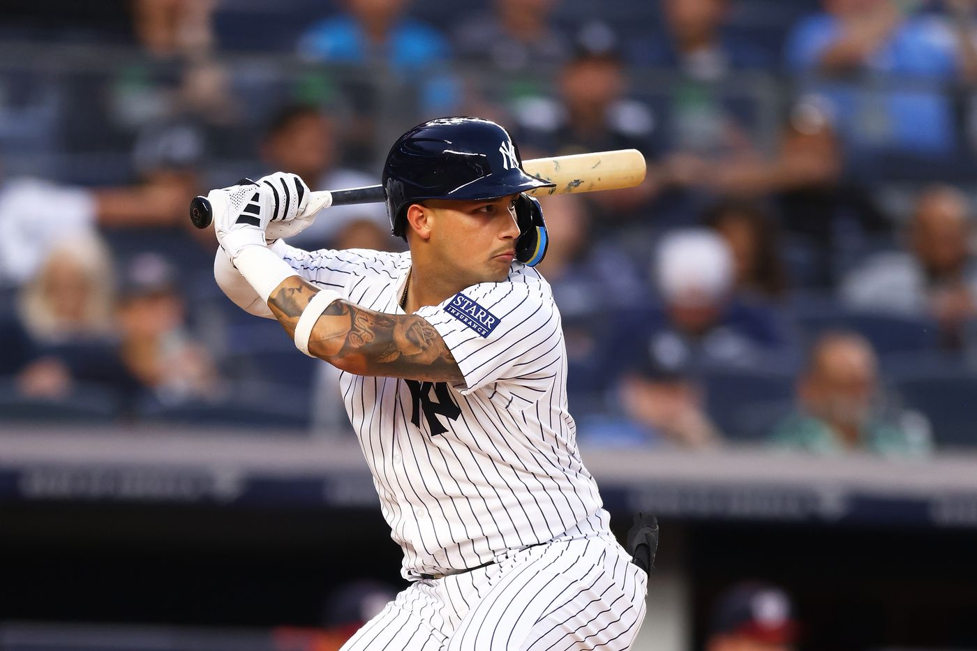 Updated Dynasty Rankings for Fantasy Baseball - RotoProspects